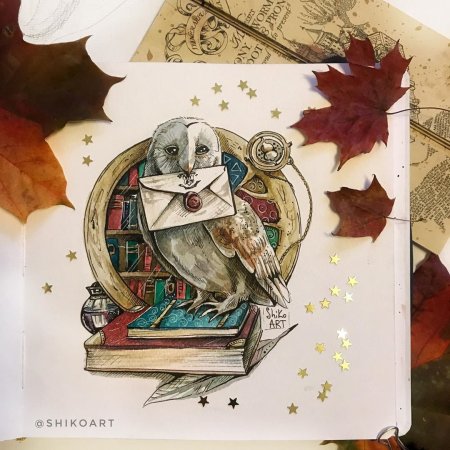 Сова Гарри Поттера Хогвартса Гарри