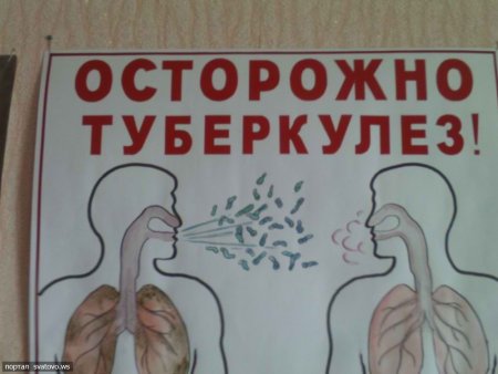 Рисунок на тему туберкулез