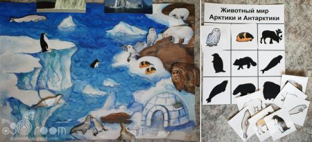 Аппликация по теме животный мир Арктики и Антарктики
