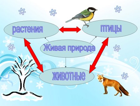 Невидимые ниьив зимнем лису