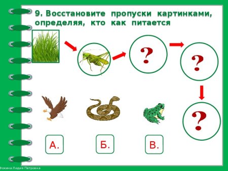 Невидимые нити 2 класс окружающий мир примеры схем