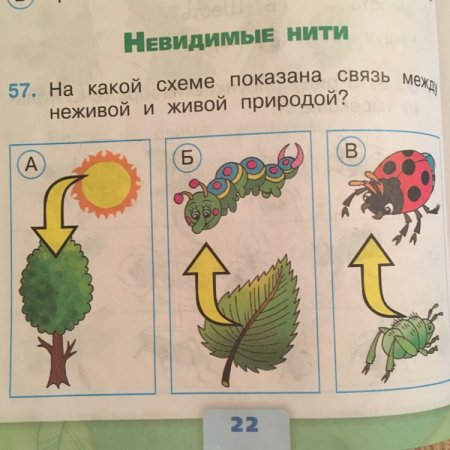 Невидимые нити схема