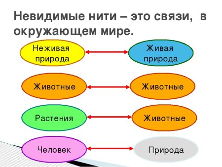 Невидимые нити 2 класс окружающий мир связи в природе