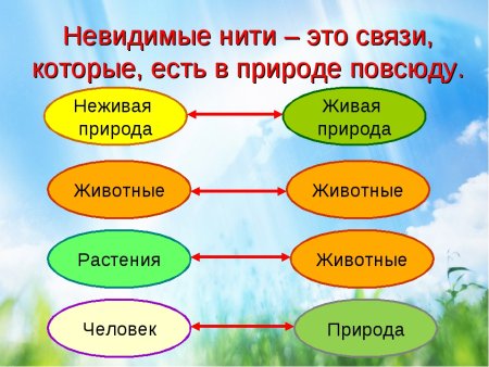 Невидимые нити 2 класс