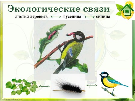 Невидимые нити 2 класс окружающий мир