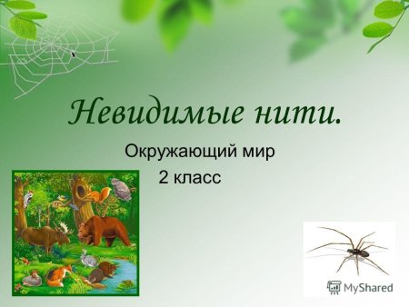 Невидимые нити окружающий мир