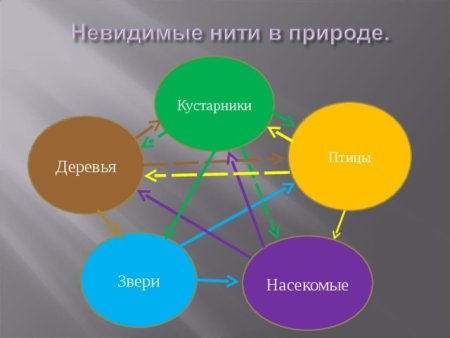 Невидимые нити схема