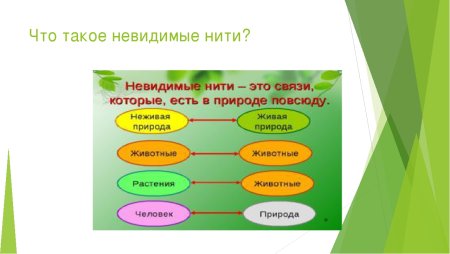 Невидимые связи в природе