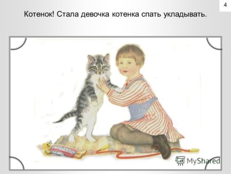 Раскраска полосатый кот