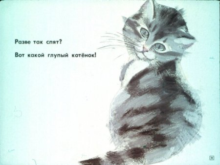 Раскраска котенок полосатый