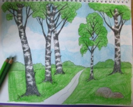 Березовая роща рисунок карандашом