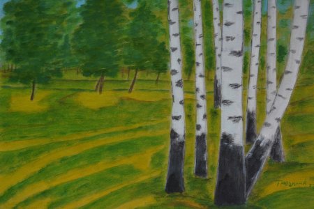 Берёзовая роща цветными карандашами