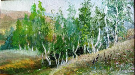 Край кудрявых берез