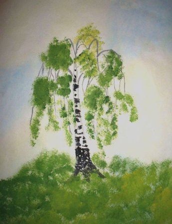 Берёза поэтапное рисование