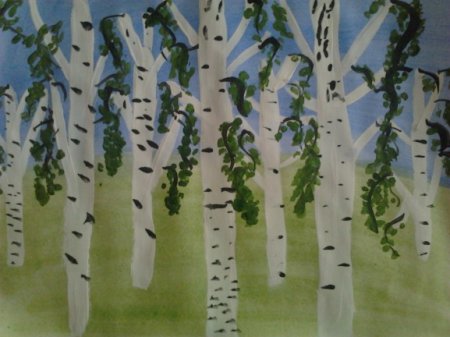 Рисование Березовая роща в старшей группе