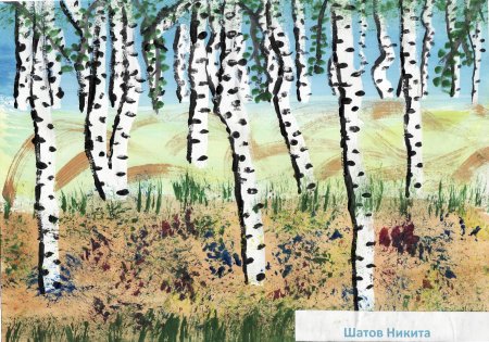 Рисование Березовая роща в старшей группе
