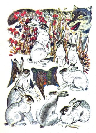 Иллюстрации Татьяны Васильевой Аленушкины сказки