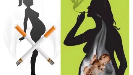 Здоровый образ жизни - альтернатива вредным привычкам