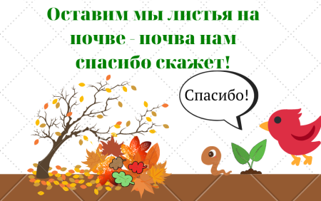 Листовка не сжигайте листья