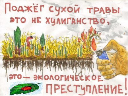 Не поджигайте сухую траву листовка
