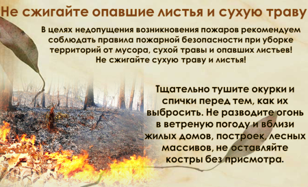 Сжигание листьев и сухой травы