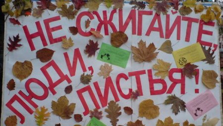 Не сжигайте листья рисунок