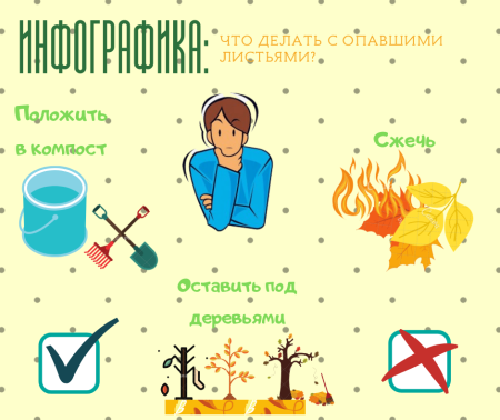 Не сжигайте листья рисунок