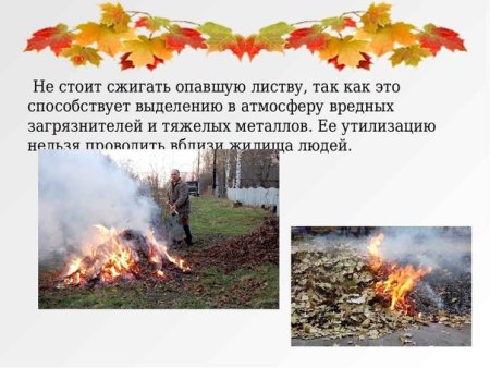 Листья нельзя сжигать