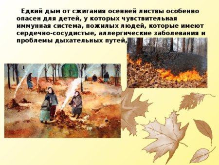 Сжигать осенью листву