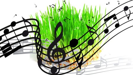 Музыкальный пейзаж