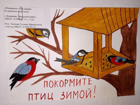 Рисование покормим птиц