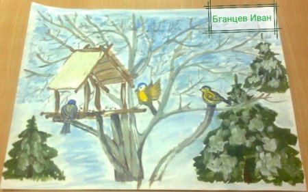 Рисование зимующие птицы