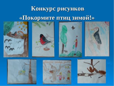 Рисунок Покормите птиц зимой для срисовки