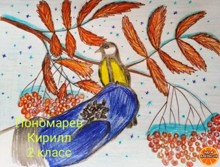 Зимующие птицы рисунок