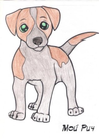 Рисуем домашнего питомца