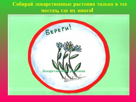 Охрана растений