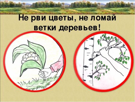 Охрана растений рисунок