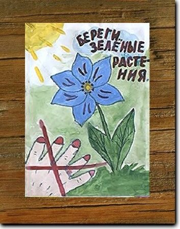 Плакат берегите растения