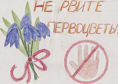 Плакат береги растения