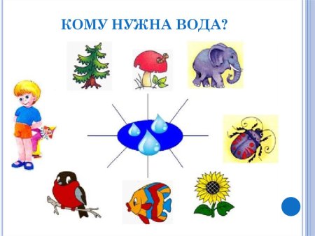 Кому нужна вода