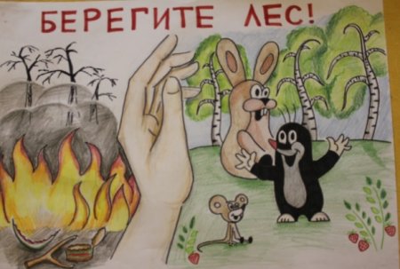 Береги лес от пожара рисунки