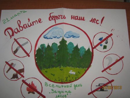 Плакат "берегите лес!"