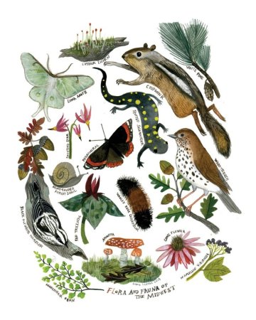 Флора и фауна