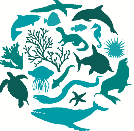 Биологическое разнообразие