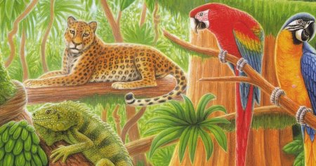 Раскраски природа красивые