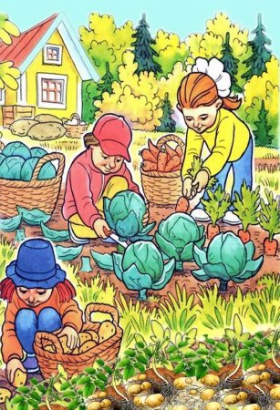 Раскраска сажать деревья