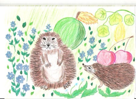 Ёжик для рисования детям