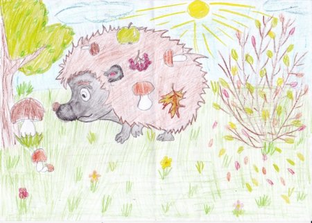 Ежик детский рисунок