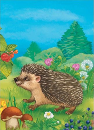 Ежик в лесу для детей