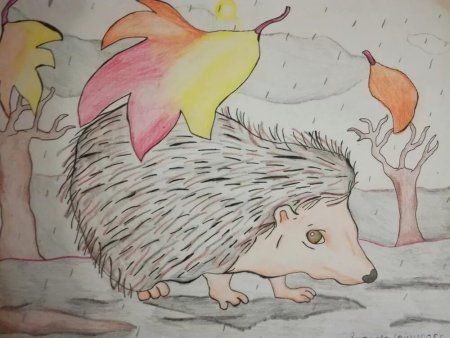 Рисунки Ёжика для срисовки